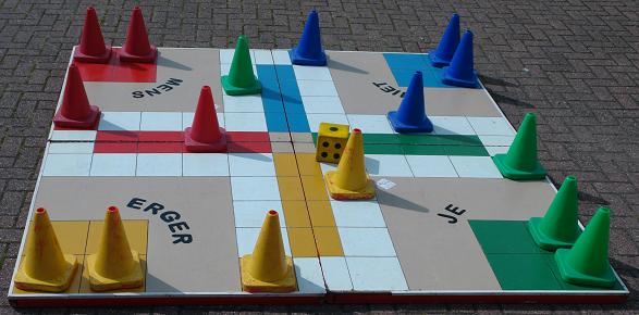 Mens erger je niet 2,5 x 2,5 m