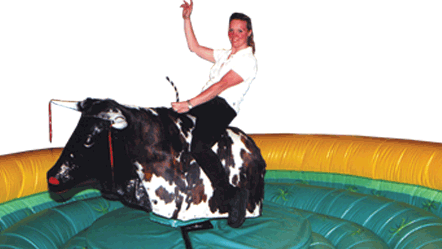 Rodeostier